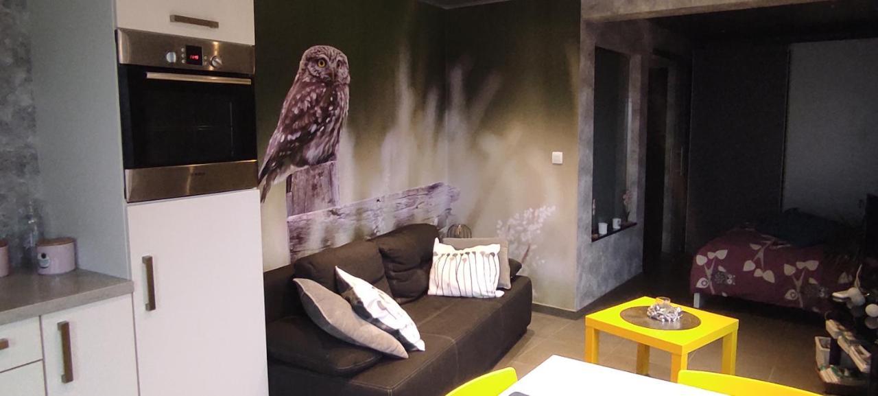 Studio Gite Eul Cat Huant Dergneau Экстерьер фото